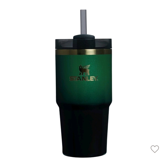 LIMITED EDITION WICKED GREEN Stanley Quencher FlowState 20oz Tumbler, ELPHABA - Picture 1 of 1